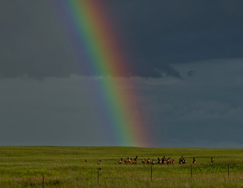 Pot O Gold by Steve Tugwell